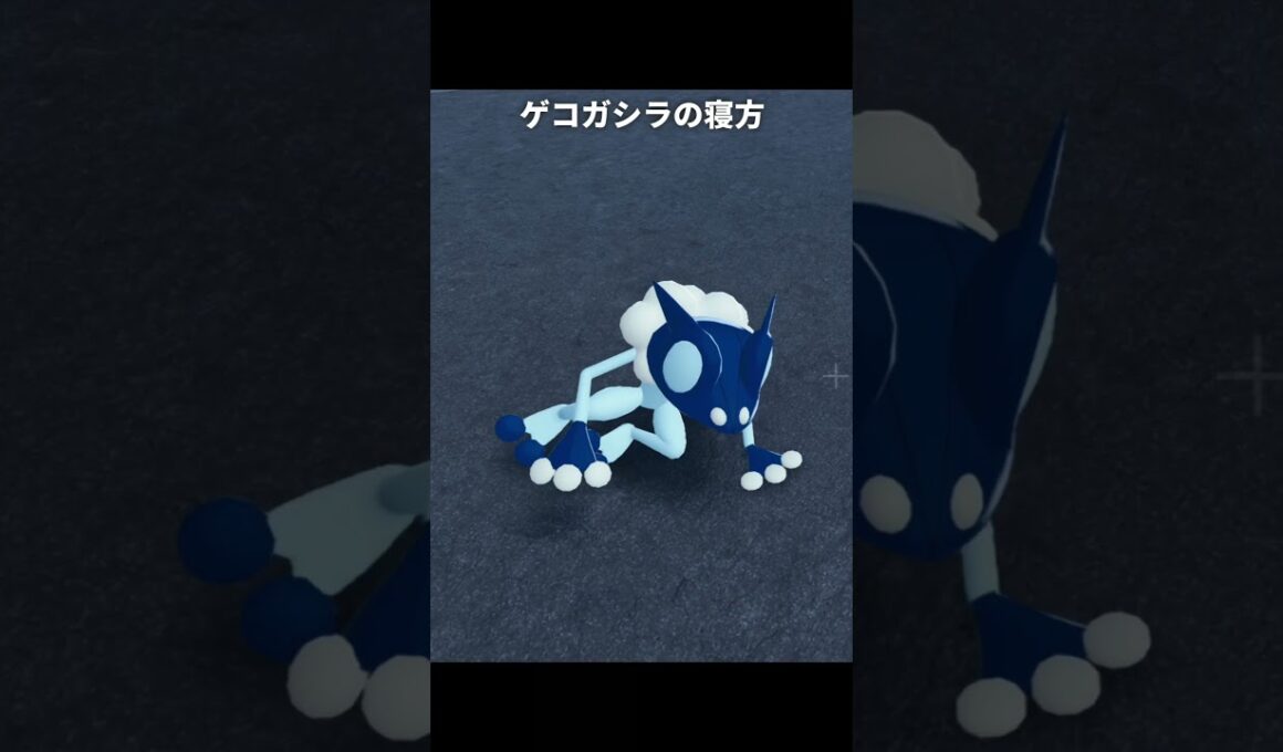 ケロマツの特徴的な寝方 | ポケモンZA