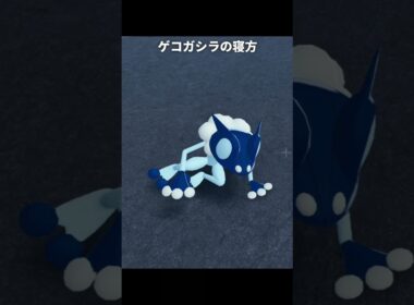 ケロマツの特徴的な寝方 | ポケモンZA