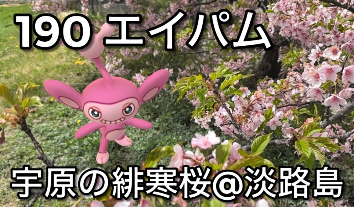 【ポケGO動くポケモンずかん】190エイパム｜Aipom｜ShinyPokémon【ポケモンGO】PoKeMoN GO AR｜AR動画｜GOsnapshot｜PokemonGO