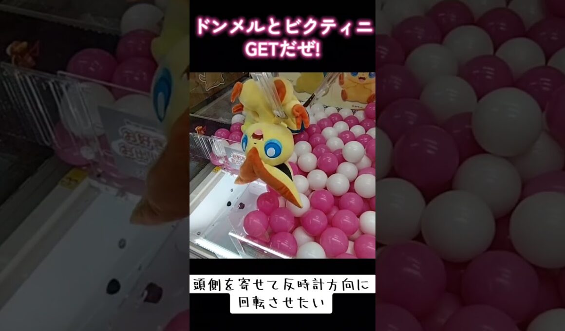 #クレーンゲーム #ゲーセン #ポケモン #ドンメル #ビクティニ  TikTok