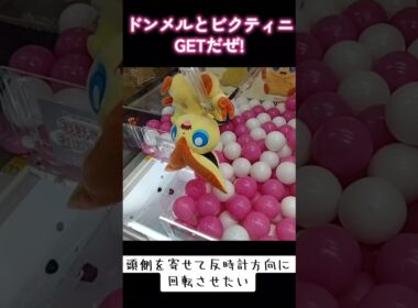 #クレーンゲーム #ゲーセン #ポケモン #ドンメル #ビクティニ  TikTok