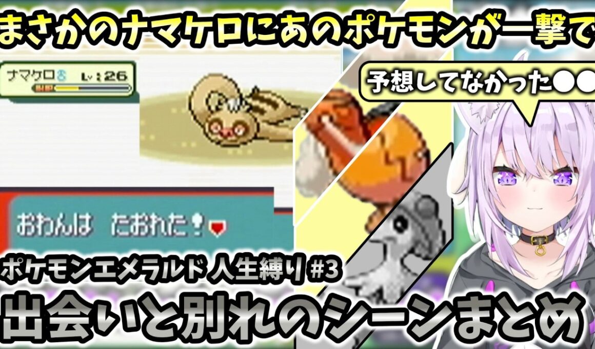 【ポケモン/エメラルド人生縛り】まさかのナマケロにあの対戦でもよく使われるポケモンが一撃で！？ おかゆのポケモンエメラルド人生縛り#2 出会いと別れのシーンまとめ【ホロライブ切り抜き / 猫又おかゆ】