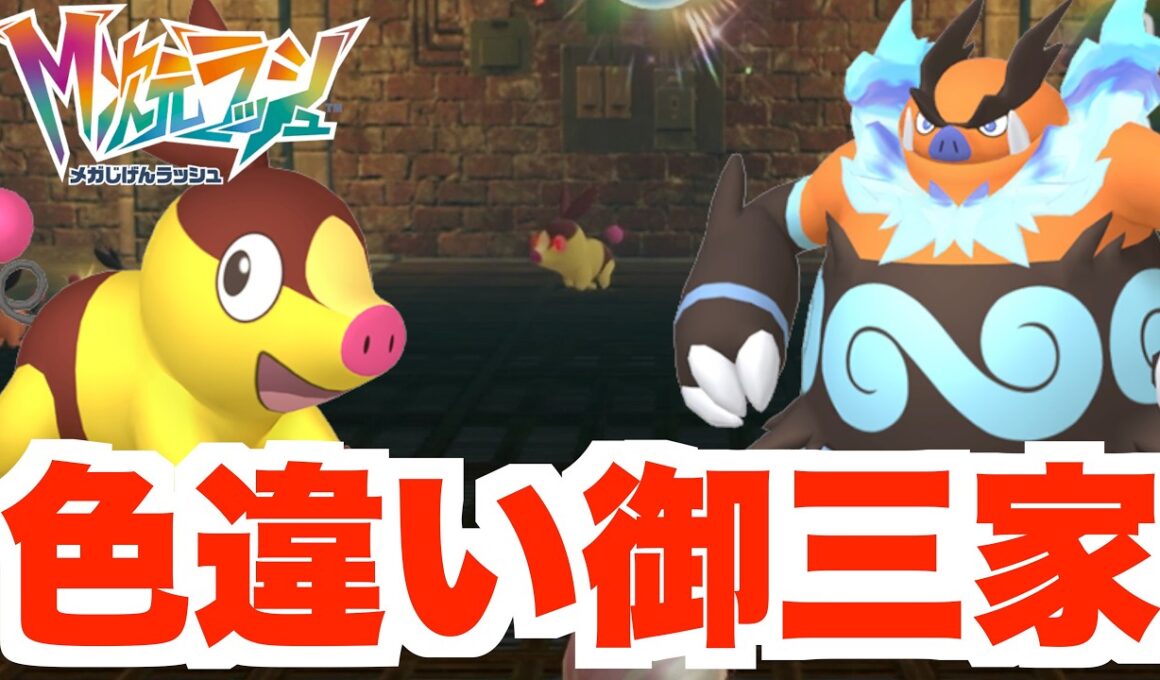 【ポケモンZA】色違いが大量入手！色違いポカブが何体も！色違いエンブオー入手！夢の御三家の色違いポケモンを探せ！【DLC「M次元ラッシュ」】