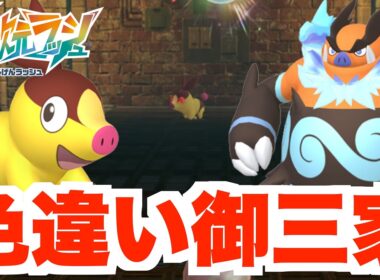 【ポケモンZA】色違いが大量入手！色違いポカブが何体も！色違いエンブオー入手！夢の御三家の色違いポケモンを探せ！【DLC「M次元ラッシュ」】