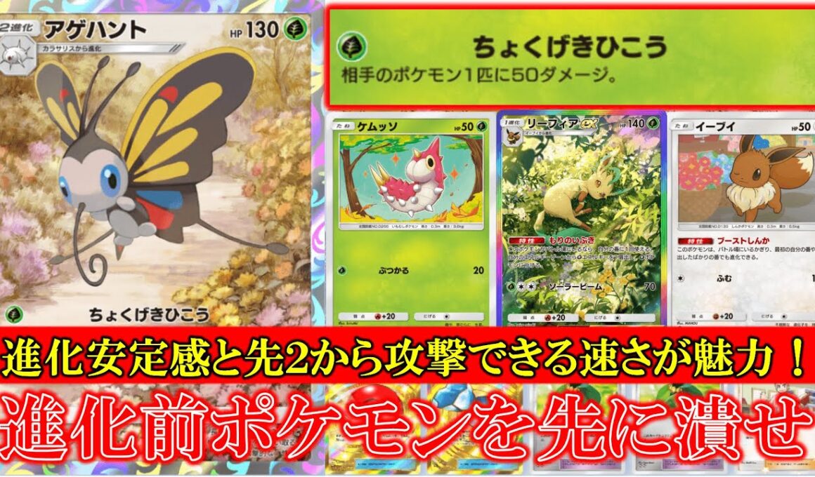 【ポケポケ】アゲハント登場！ちょくげきひこう！相手のポケモン１匹に50ダメージ！進化安定感と先行２ターンから攻撃できる速さが魅力的！【ポケモン】【メガライジング】【アゲハント】【リーフィア】