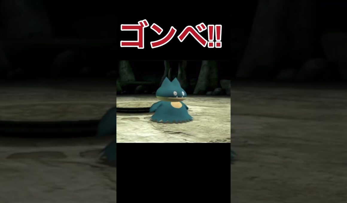 ゴンベってかわいいよな(ポケモンXD闇の旋風ダークルギアpart6)#shorts
