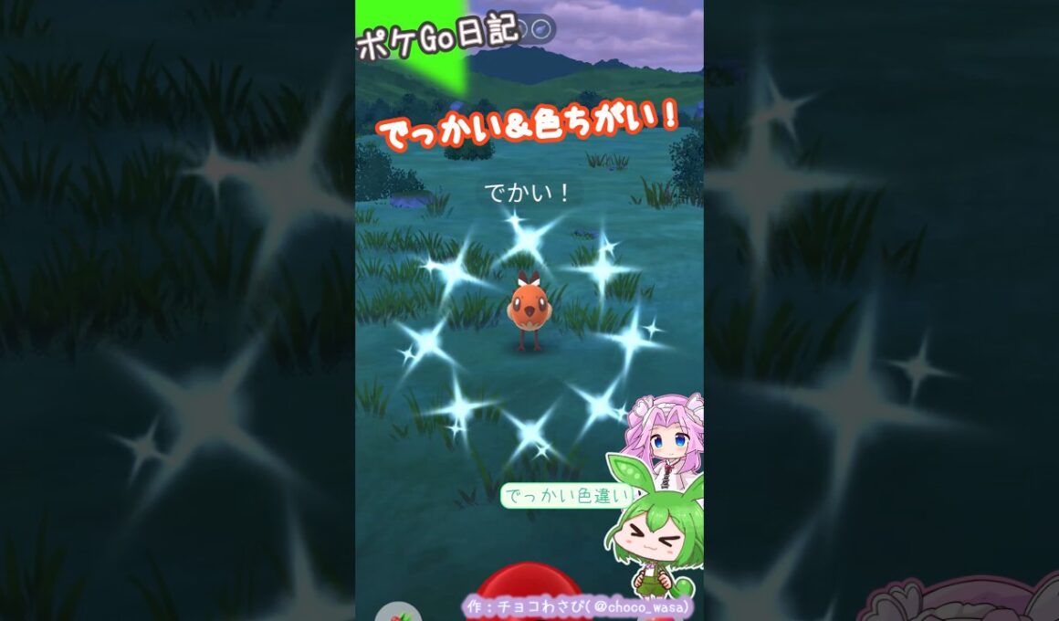 【ポケGO日記】ヤヤコマ でっかい色違いゲットなのだ！