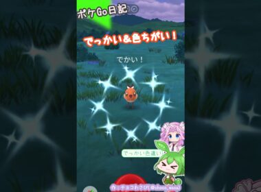 【ポケGO日記】ヤヤコマ でっかい色違いゲットなのだ！
