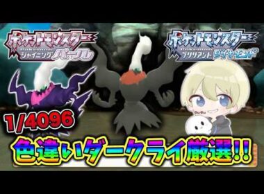 【色違い厳選】2600回目～色違いダークライ厳選配信！今日こそ出すダークライ厳選！【ポケモンBDSP】