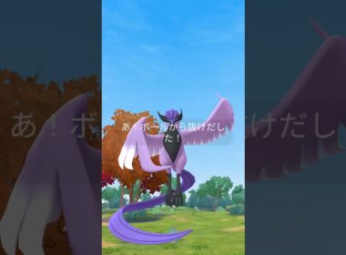 【ポケモンGO】ガラルフリーザーが2日連続！？#ポケモン #ポケモンgo #ガラル三鳥 #shorts