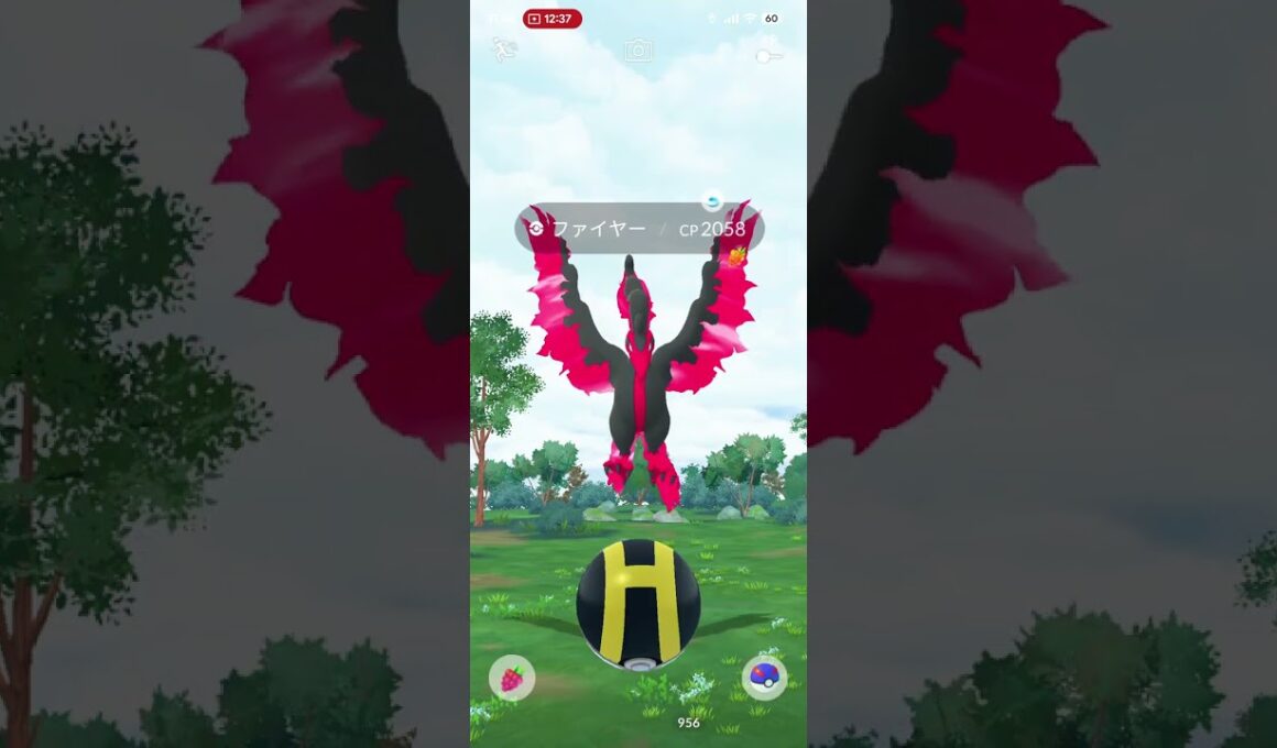 【ポケモンGO】ガラルファイヤー逃亡①