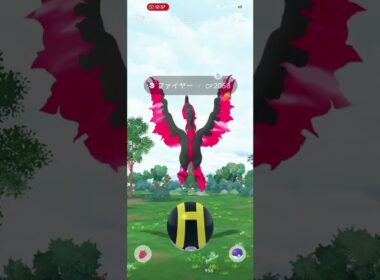 【ポケモンGO】ガラルファイヤー逃亡①