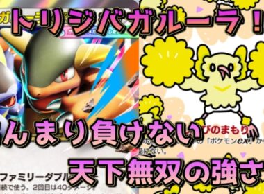 オドリドリジバコイルガルーラ！ポンチョ採用でジバコイルやガルーラを裏でひっそり育てよう！！