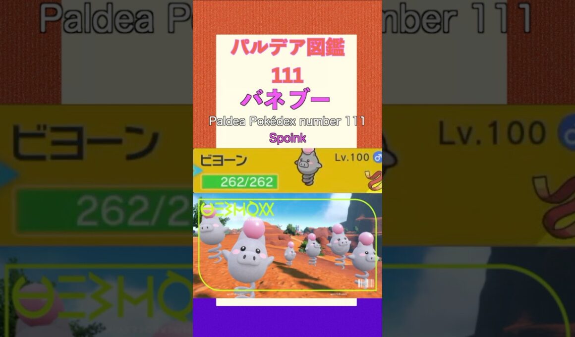 ポケモンSV パルデア図鑑111　バネブー　レベル100 #shorts