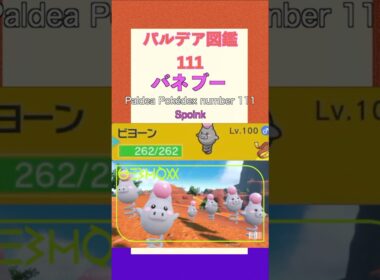 ポケモンSV パルデア図鑑111　バネブー　レベル100 #shorts