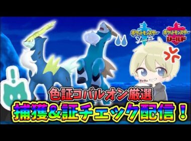 【色違い出現】色証コバルオン厳選！捕獲&証チェック配信！ #ポケモン剣盾 #朝活  #色違い厳選 #pokemon #shorts