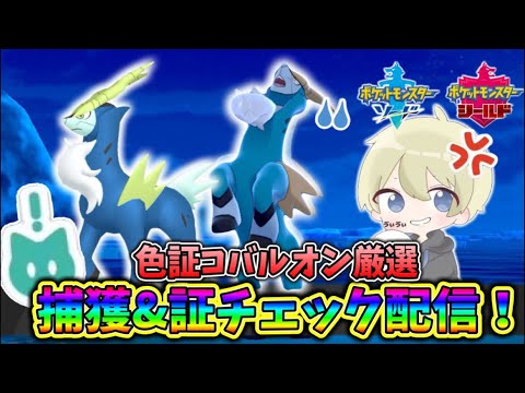 【色違い出現】色証コバルオン厳選！捕獲&証チェック配信！ #ポケモン剣盾 #朝活  #色違い厳選 #pokemon #shorts