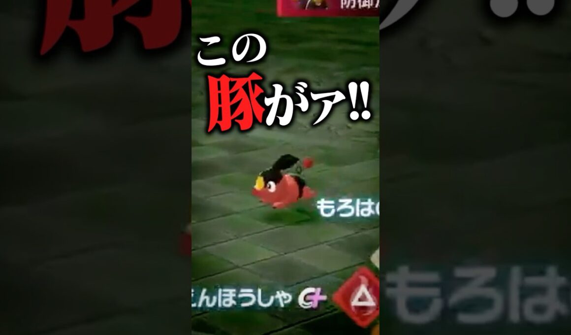 ポカブでジガルデ戦に挑む望月ほぐの。 #ポケモンza #pokemonlegendsza #切り抜き #望月ほぐの #shorts