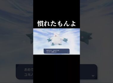 氷タイプ使いなら日常です #shorts #ポケモンza #ユキノオー