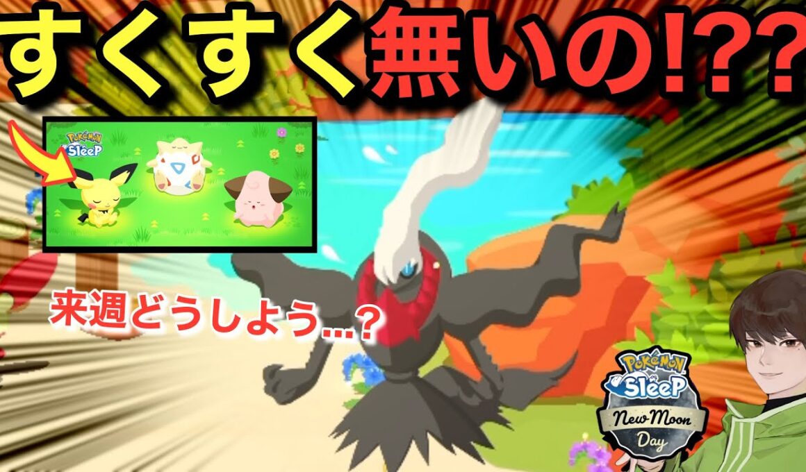 来週何も無いの?! ひとまずダークライガチャする【ポケモンスリープ】無課金リサーチ939/924日目