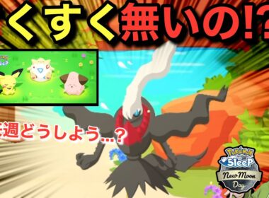 来週何も無いの?! ひとまずダークライガチャする【ポケモンスリープ】無課金リサーチ939/924日目