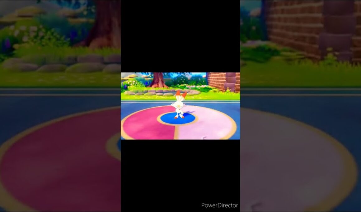 ヒバニー🐰🔥【ポケットモンスターシールド】ポケモン剣盾🛡