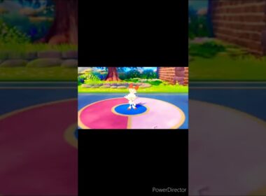 ヒバニー🐰🔥【ポケットモンスターシールド】ポケモン剣盾🛡