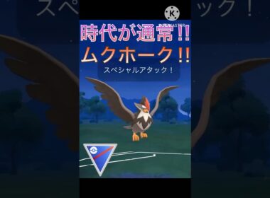 今の環境には通常⁉︎ 火力も充分ある通常ムクホーク使ってみた‼︎ #ポケモンgo #goバトル #goバトルリーグ #gbl
