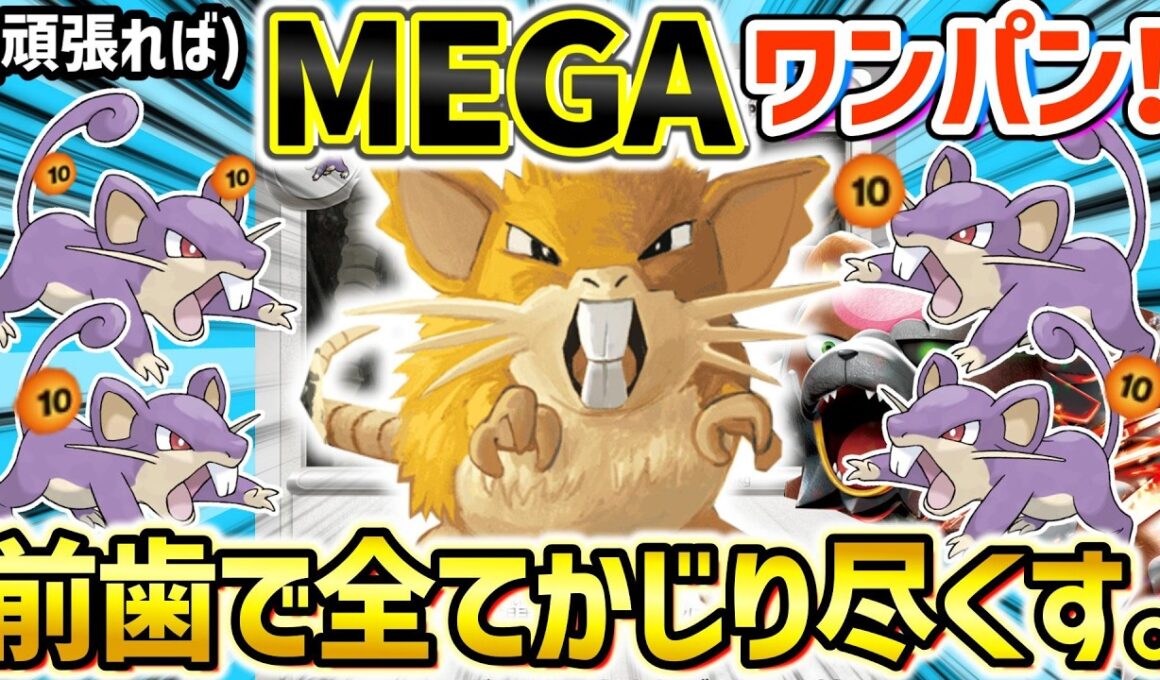 【ポケカ対戦】360ダメだって出せちゃう！逆襲前歯で怒りの一撃を繰り出せ！！【ラッタ】