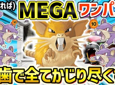 【ポケカ対戦】360ダメだって出せちゃう！逆襲前歯で怒りの一撃を繰り出せ！！【ラッタ】