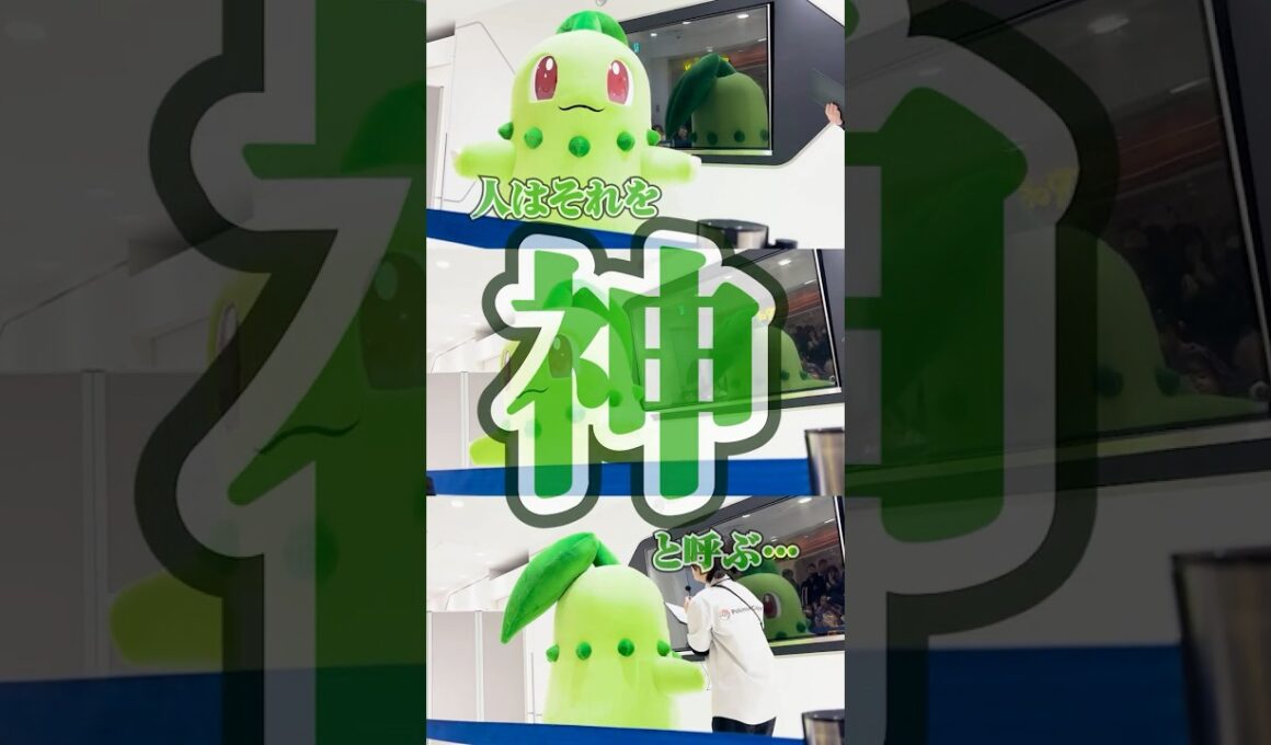 大好きなチコリータに会ってきたよ！！ #ポケモン #チコリータ #ポケモンza