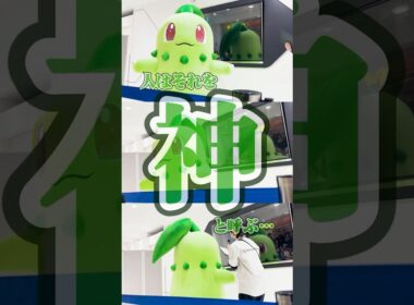 大好きなチコリータに会ってきたよ！！ #ポケモン #チコリータ #ポケモンza