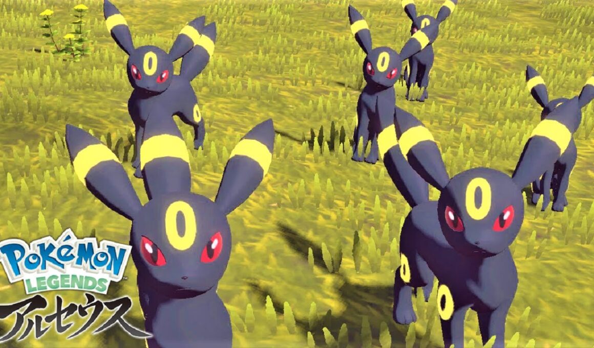 かっこかわいいブラッキー６匹に囲まれて癒されたい【ポケモンレジェンズアルセウス】