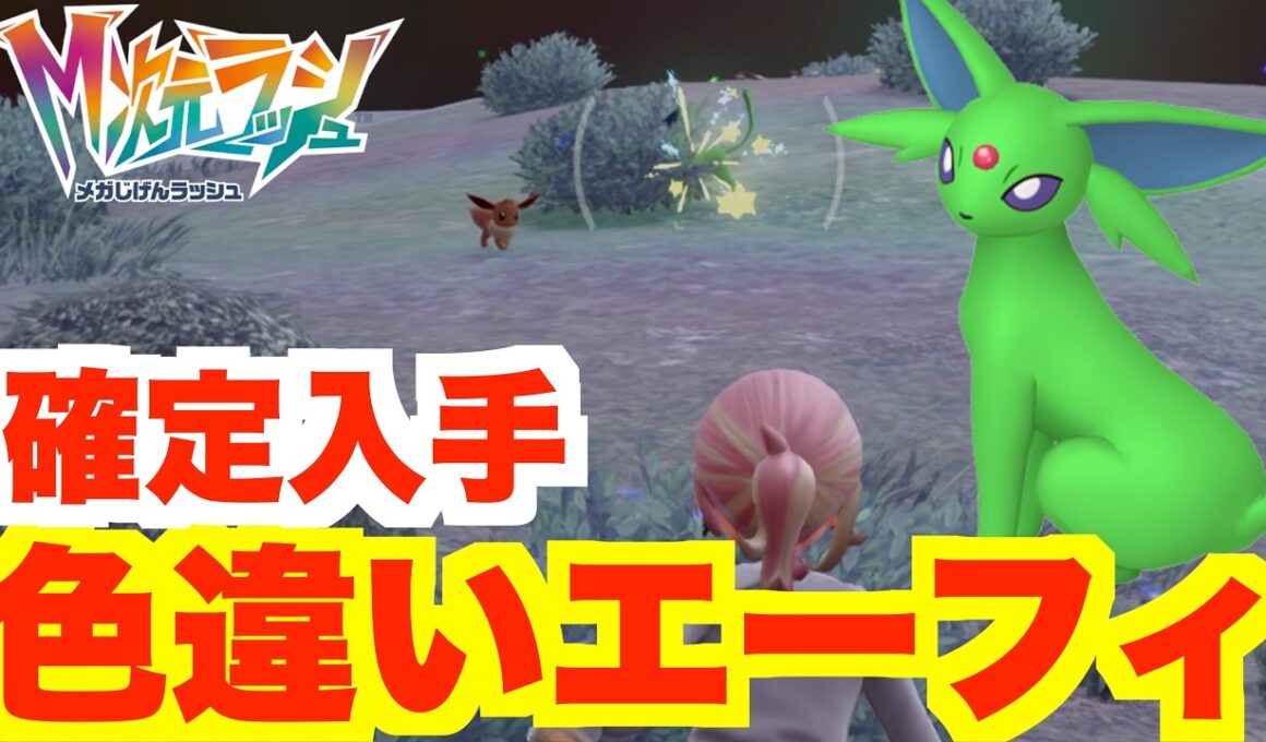 【ポケモンZA】夢の色違いブイズついに！色違いエーフィを確定入手！？【DLC「M次元ラッシュ」】