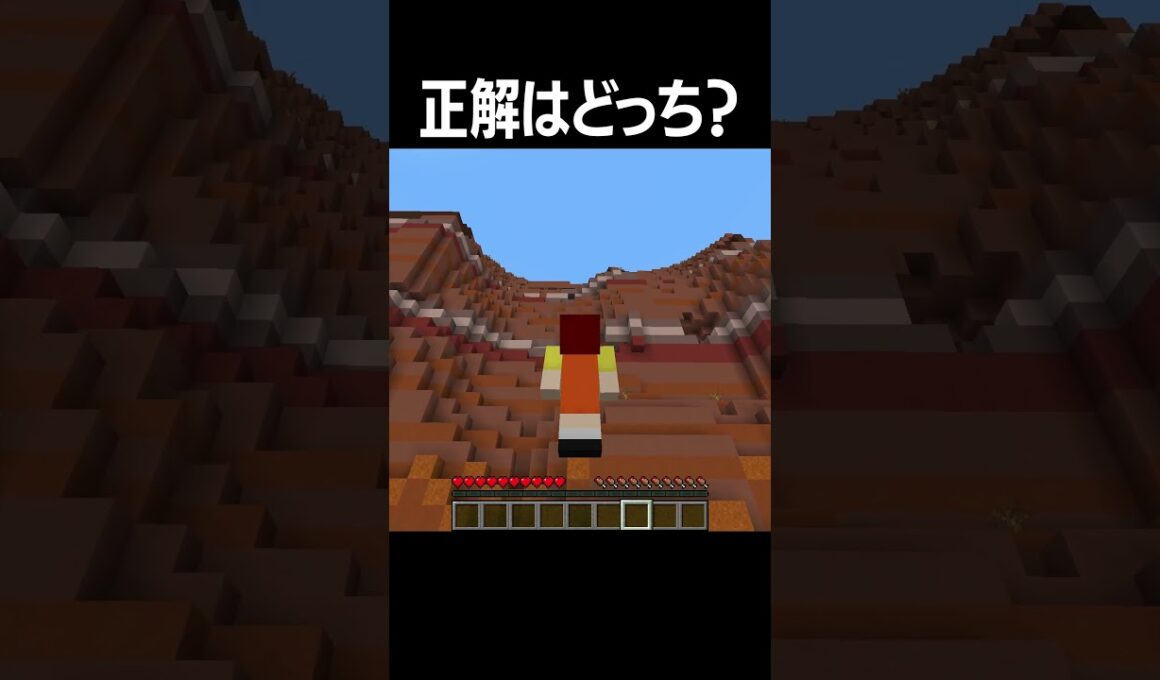 どっちが正解？#shorts  #minecraft