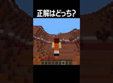 どっちが正解？#shorts  #minecraft
