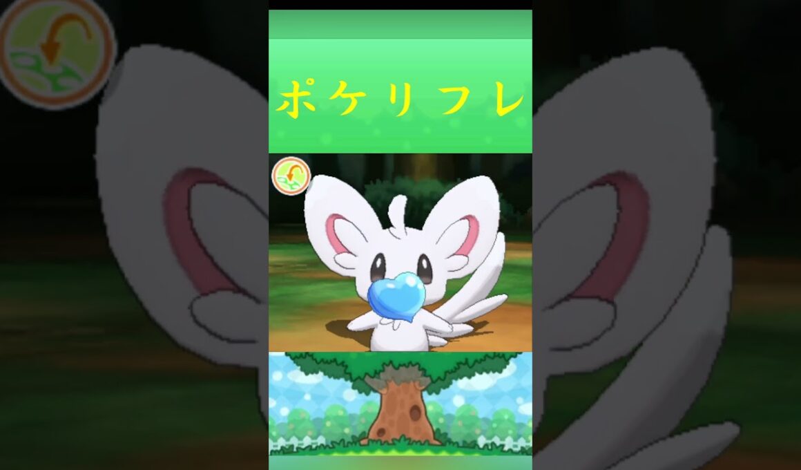 ポケモン チラーミィ ポケリフレ ポケパルレ #ポケモン #Pokemon  #3DS #ポケモン技 #ポケモンsv #ポケモン #ふれあい #キャンプ #カレー #サンドイッチ #ピクニック
