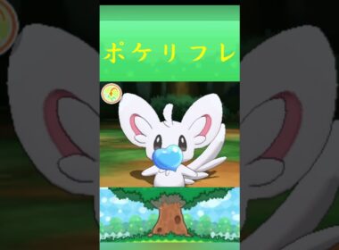 ポケモン チラーミィ ポケリフレ ポケパルレ #ポケモン #Pokemon  #3DS #ポケモン技 #ポケモンsv #ポケモン #ふれあい #キャンプ #カレー #サンドイッチ #ピクニック