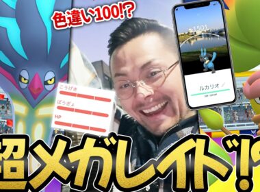 え！？色100！？目玉はメガウツボット＆メガカラマネロ！？超メガレイド！？サプライズ炸裂＆カロスツアー開幕！！【ポケモンGO】