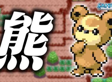 ヒメグマLv.5で冒険始めたらルビサファはキツい？ヌルい？