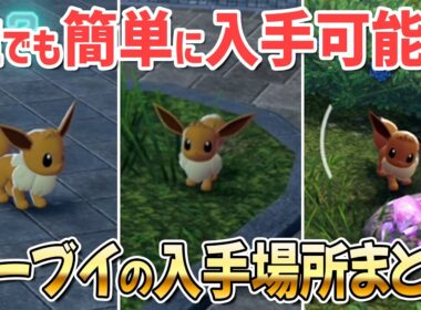 誰でも簡単にイーブイを入手できる場所と行き方まとめ！【 ポケモンZA ポケモンレジェンズZA 】