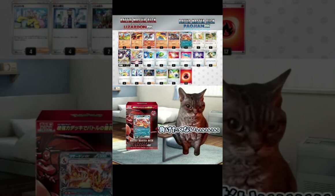 バトルマスターデッキ リザードンexのカードが足らな過ぎた #猫ミーム #catmemes #shorts