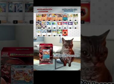 バトルマスターデッキ リザードンexのカードが足らな過ぎた #猫ミーム #catmemes #shorts