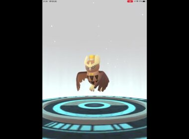 【ポケモンGO】ニューイヤーヨルノズクに進化しました♪