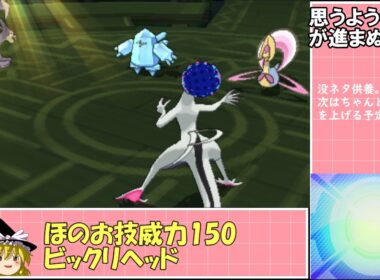 『特性ソウルハートエンニュート』＆『特性フェアリースキン自爆カプ・ブルル』