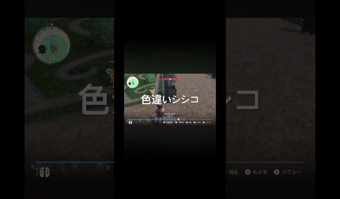 Pokémon LEGENDS Z-A　色違いシシコ出現！ #pokémon #ポケモン