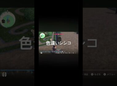 Pokémon LEGENDS Z-A　色違いシシコ出現！ #pokémon #ポケモン