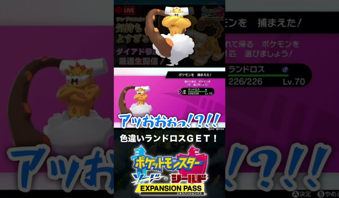 色違いランドロスと邂逅した男【ポケモン剣盾】