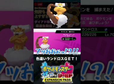 色違いランドロスと邂逅した男【ポケモン剣盾】