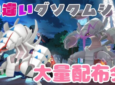 努力値振り色違いグソクムシャ等大量配布会 詳細は概要欄へ　レジェンズZA ポケモンｓｖ　剣盾　ダイパ